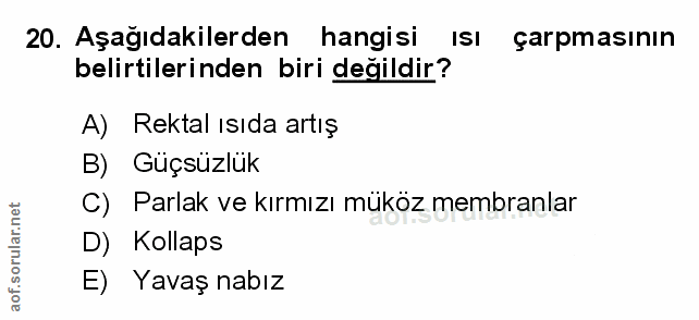 Soru 20