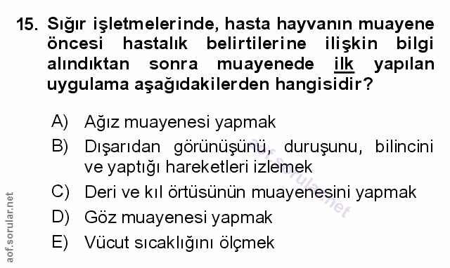 Soru 15