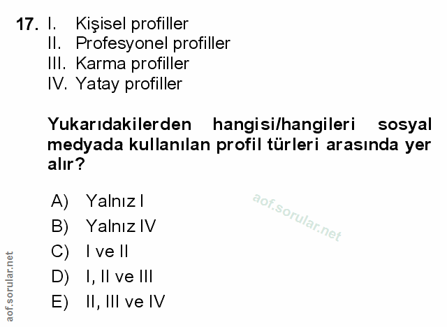 Soru 17
