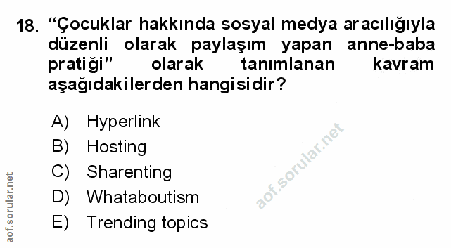 Soru 18