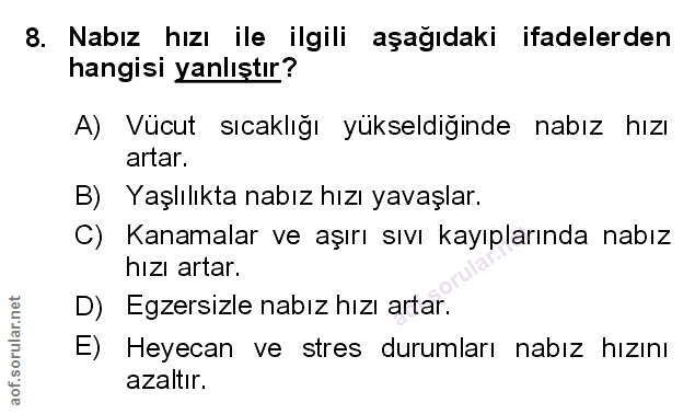 Soru 8