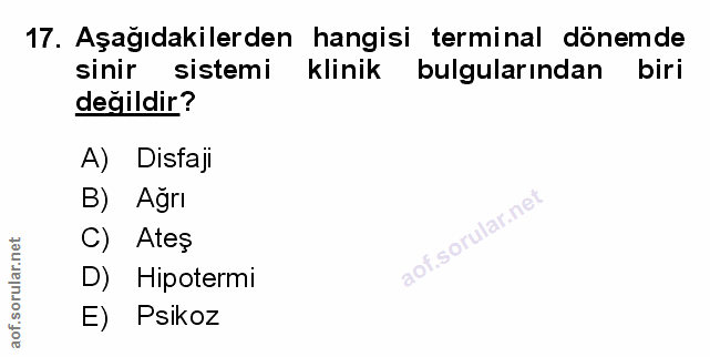 Soru 17