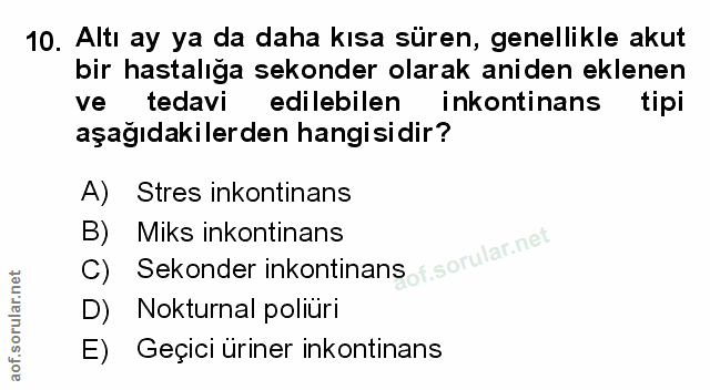 Soru 10