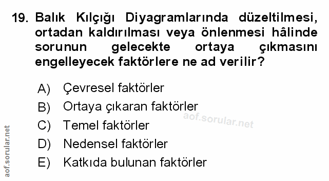 Soru 19