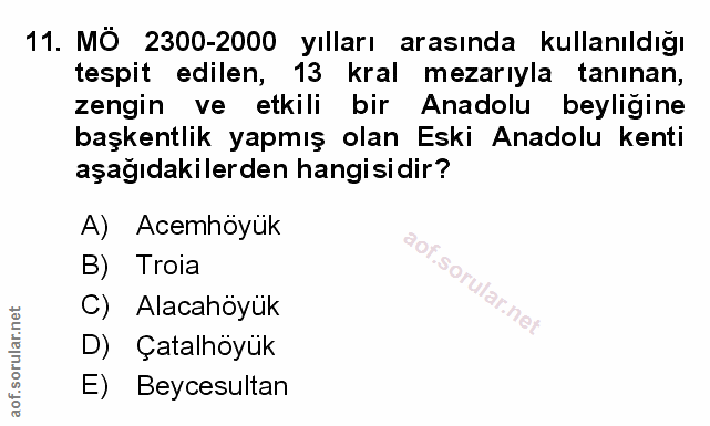 Soru 11