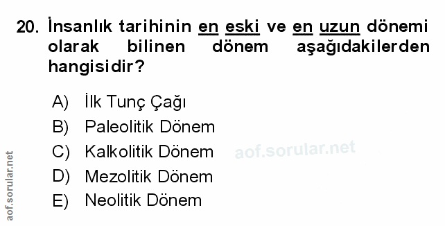 Soru 20
