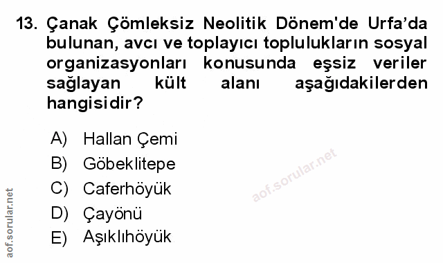 Soru 13
