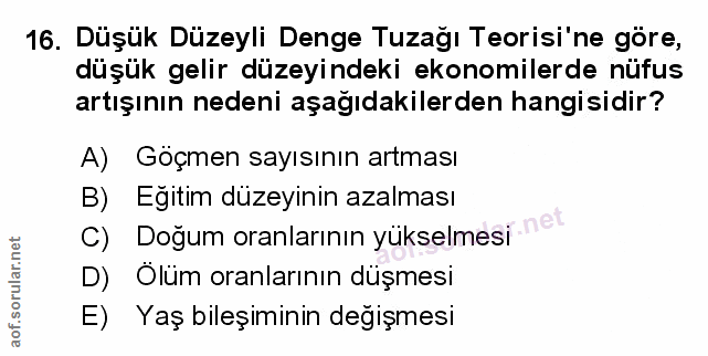 Soru 16
