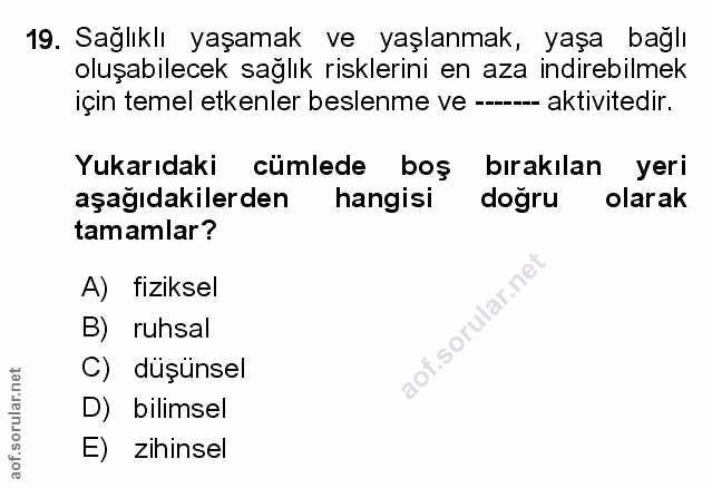 Soru 19