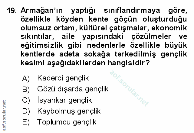 Soru 19