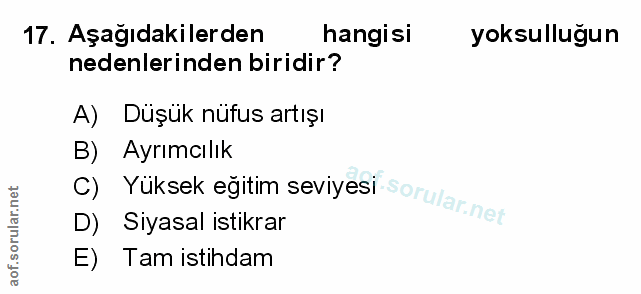 Soru 17