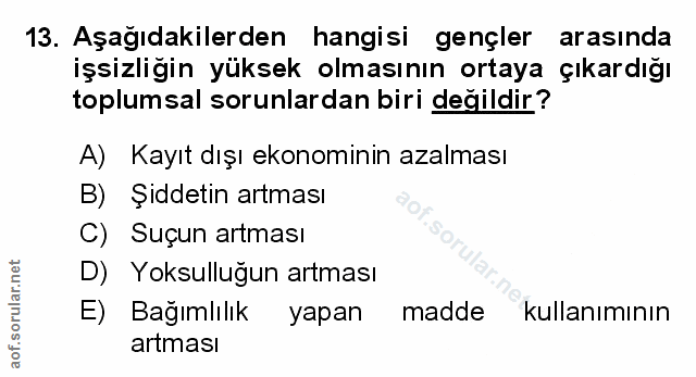 Soru 13