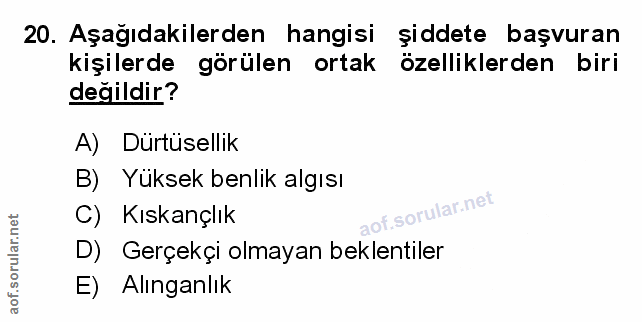 Soru 20