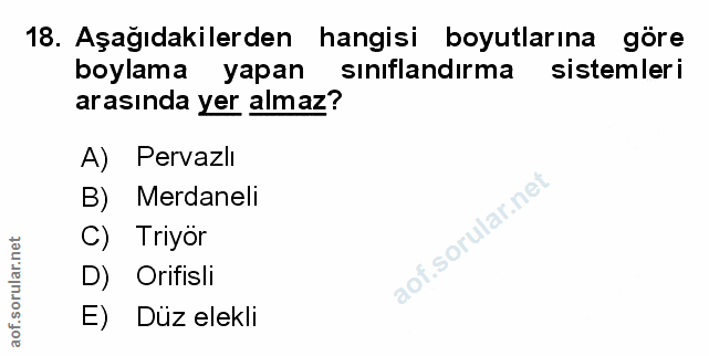 Soru 18