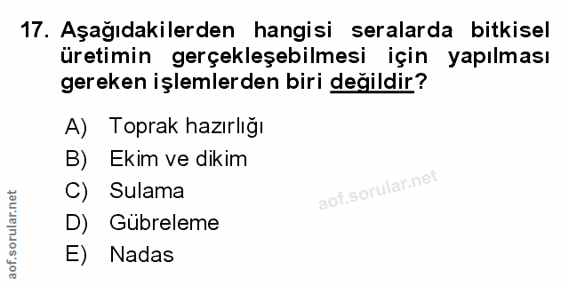 Soru 17