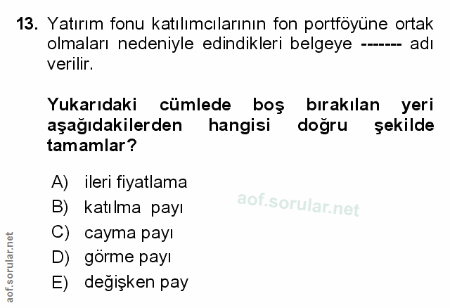 Soru 13