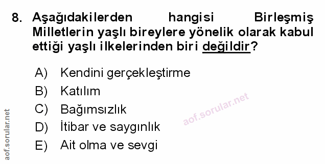 Soru 8