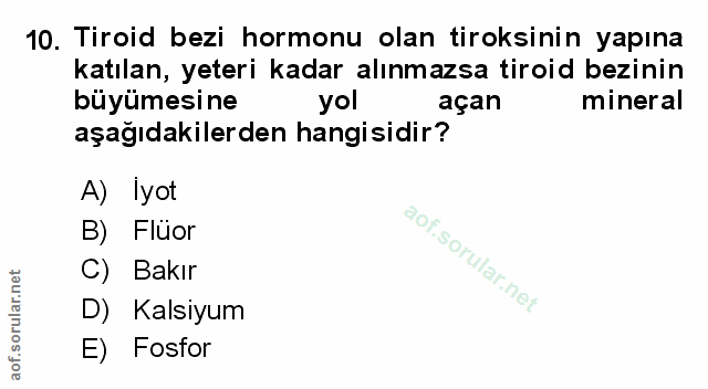 Soru 10