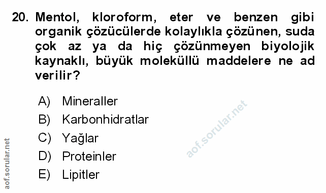 Soru 20