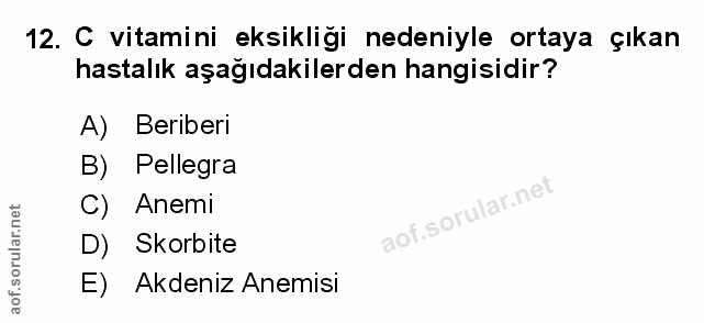 Soru 12