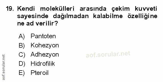 Soru 19
