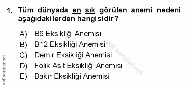 Soru 1