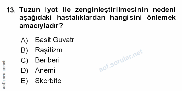 Soru 13