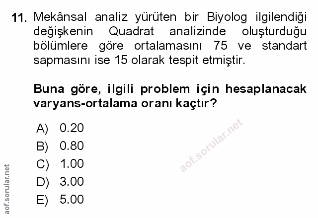 Soru 11
