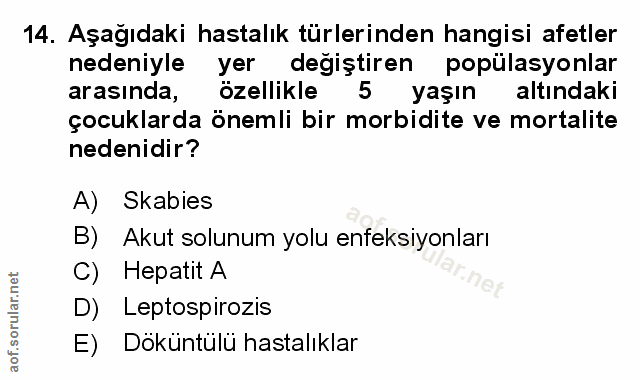 Soru 14