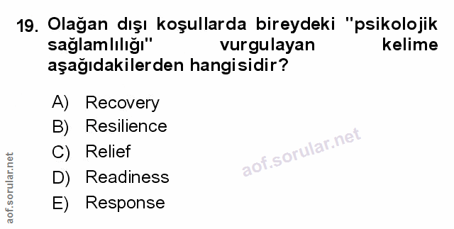 Soru 19