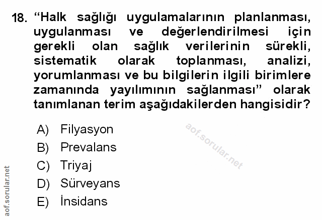 Soru 18