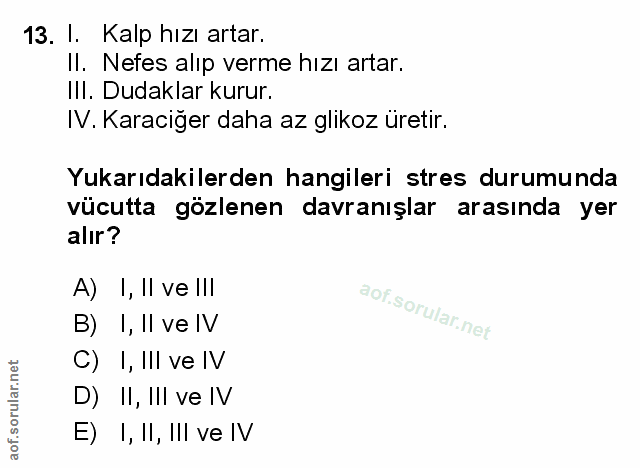Soru 13