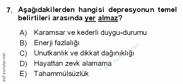 Soru 7