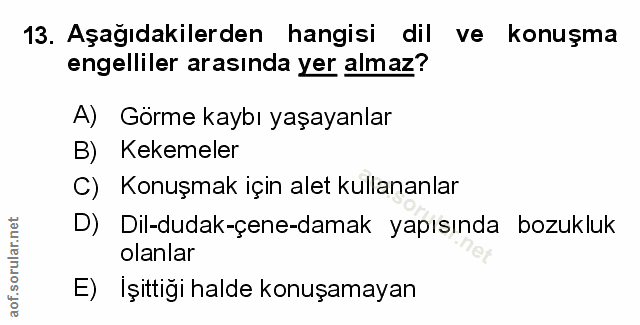Soru 13