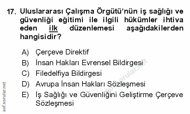 Soru 17