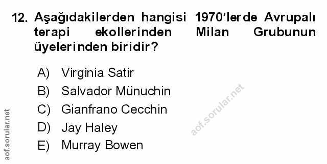 Soru 12