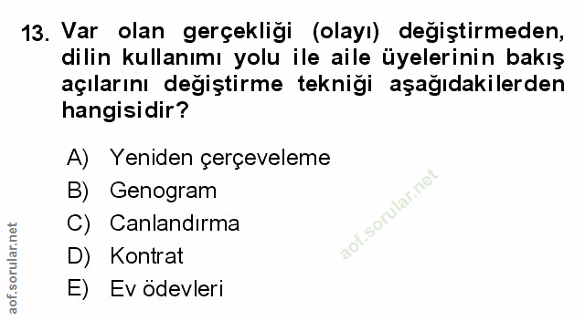 Soru 13
