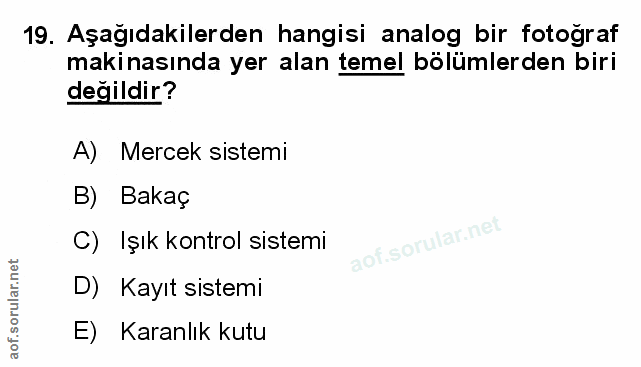 Soru 19
