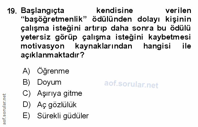 Soru 19