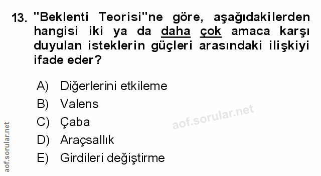 Soru 13