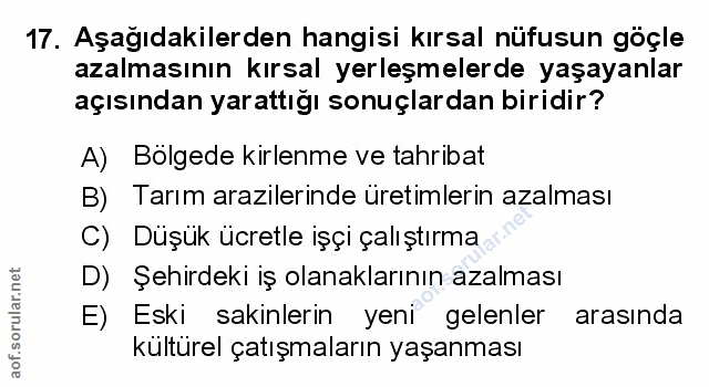 Soru 17