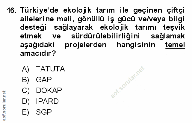 Soru 16