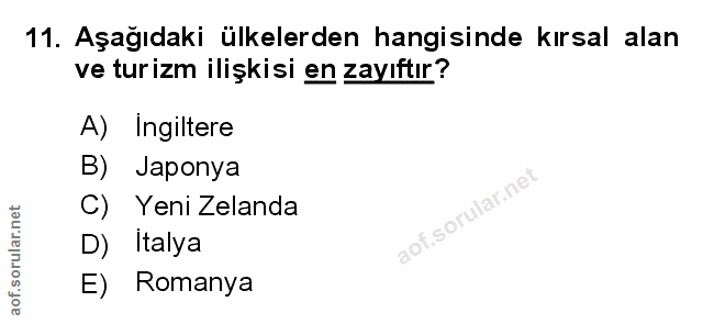 Soru 11