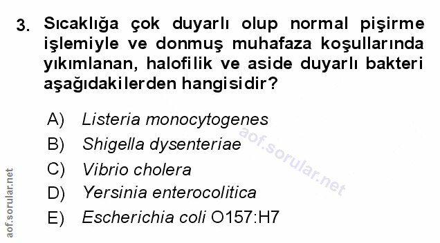 Soru 3