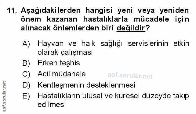 Soru 11