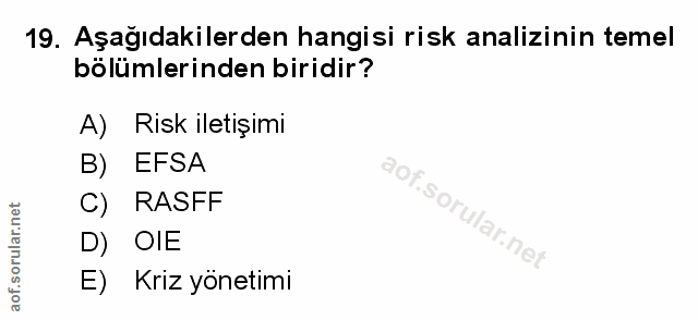 Soru 19