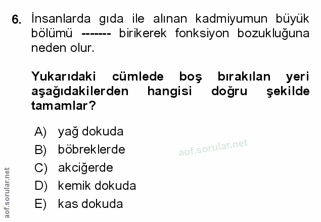 Soru 6