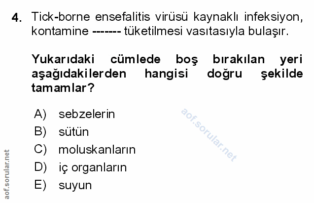 Soru 4