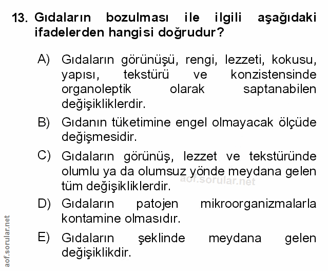 Soru 13
