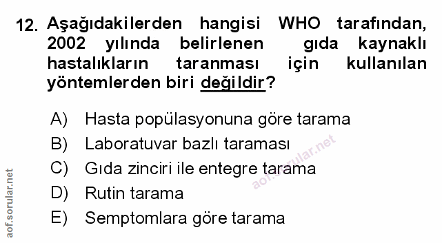 Soru 12